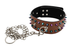 Collar de cuero y Púas