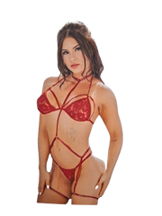 Conjunto con arnés