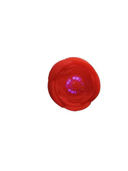PLUG LUMINOSO: talla L