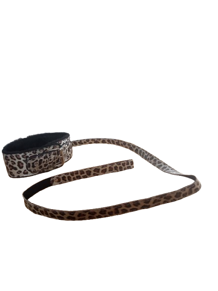 Collar con correa Sado 155