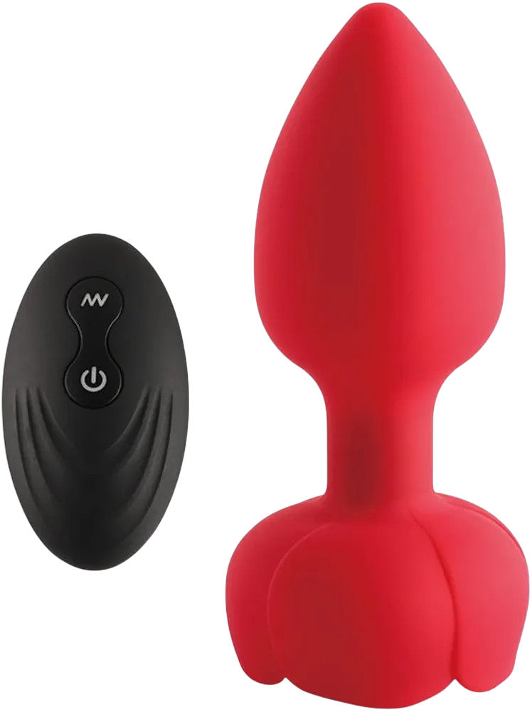 PLUG VIBRADOR CON CONTROL 982
