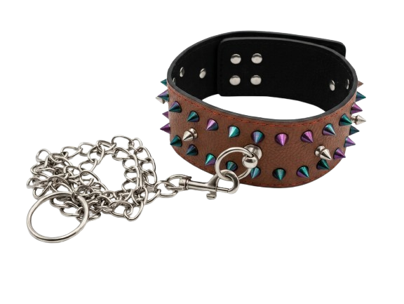 Collar  de cuero y Púas