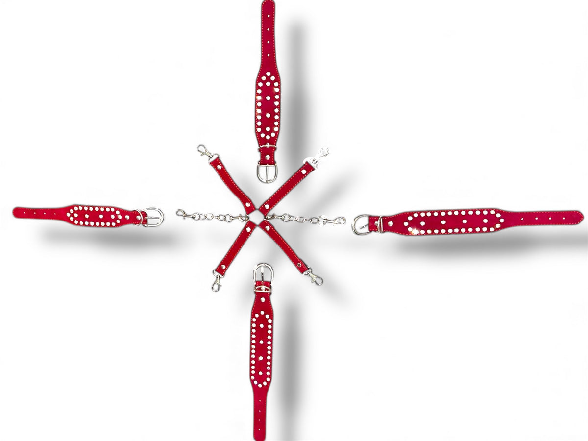 ESPOSAS SADOS (PIES Y MANOS)